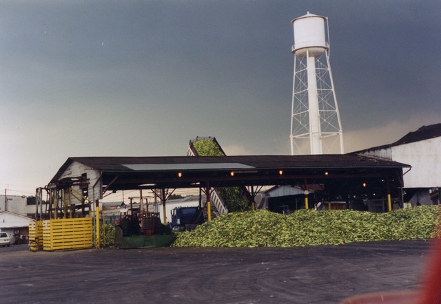 f37586150.jpg